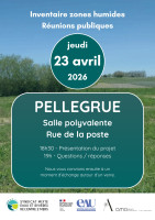 WhatsApp Image 2026-04-02 at 21.34.41.jpeg